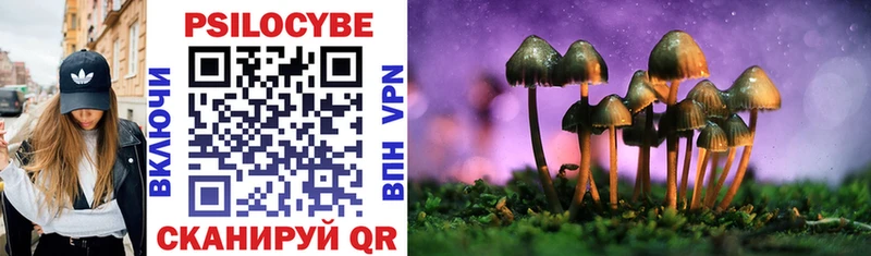 Псилоцибиновые грибы Magic Shrooms  mega ТОР  Кубинка 